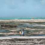 Zanzibar_svetskiputnik (5)