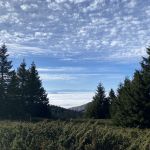 Kopaonik_Svetskiputnik.rs 01