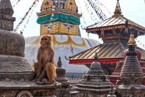 nepal