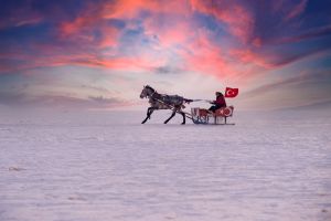 Kars Çıldır Lake 1